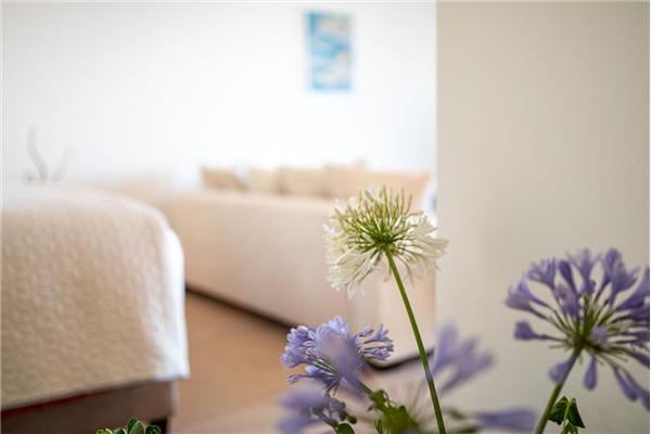 Apartment A2, for 2 persons