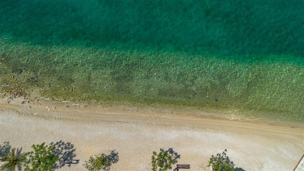 House Luxury Konforta