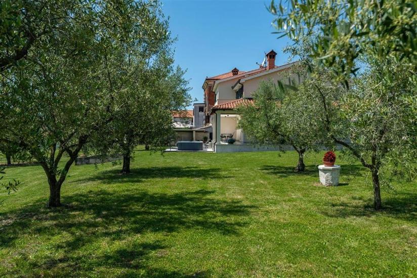 Apartment Vista Olivo