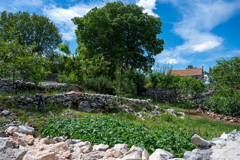 House Small paradise Slivno