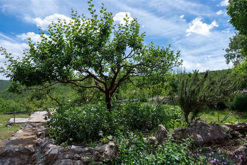 House Small paradise Slivno