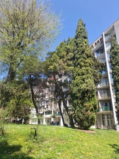 Apartment Vesna
