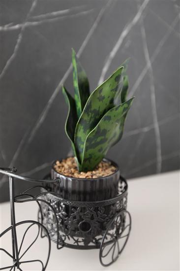 Apartament A1, dla 5 osób