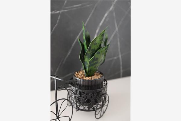 Apartament A1, dla 5 osób