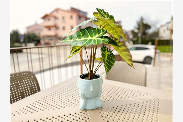 Apartment A2, for 4 persons