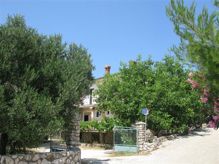 Apartment Branko