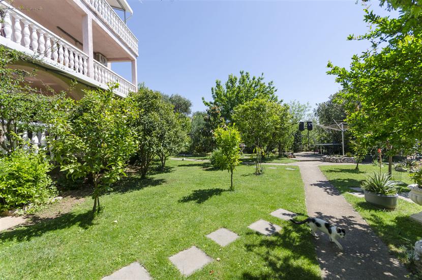Apartments Plava plaza Daniela