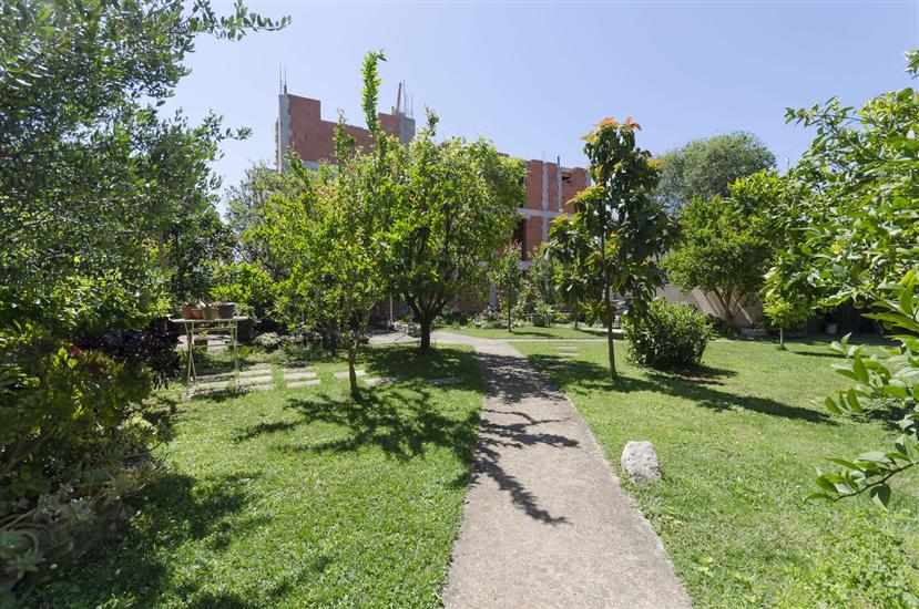 Apartments Plava plaza Daniela