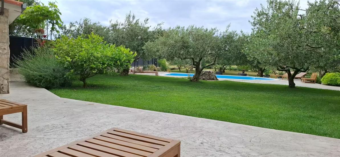 House Villa Olives Garden