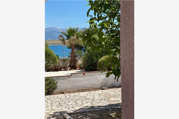 Apartment A1, for 4 persons