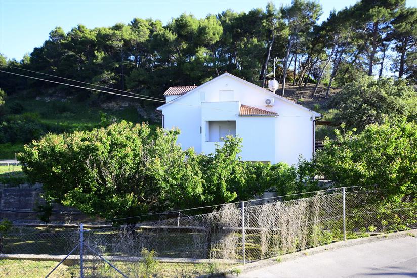 Apartment Ribaric