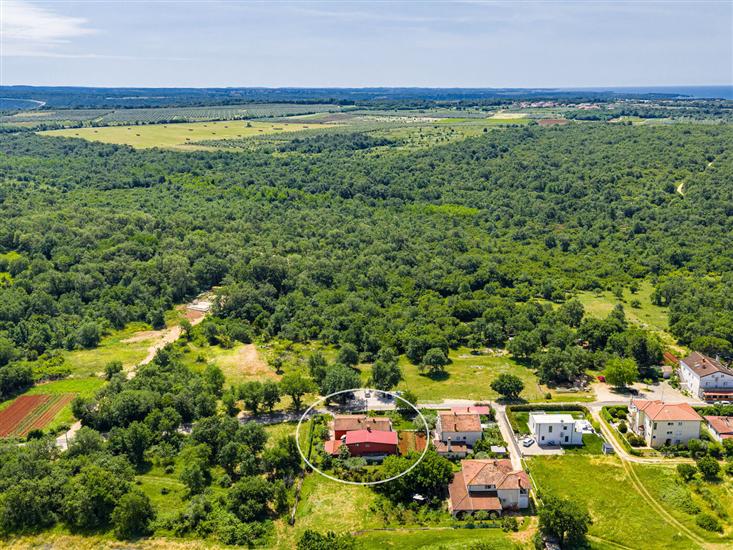 Apartments Villa Amaryllis