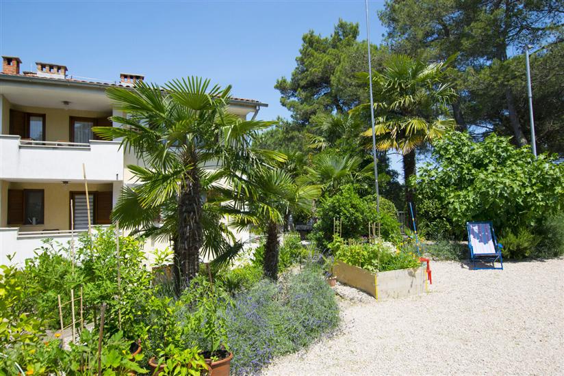 Apartment Ivana