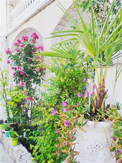 Apartment A1, for 2 persons