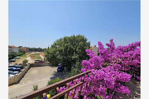 Apartment A5, for 4 persons