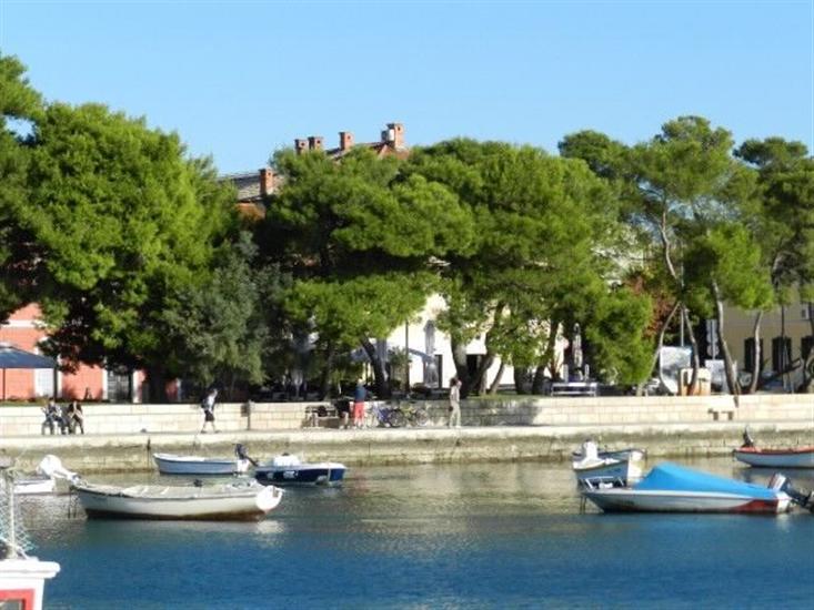Apartments Radomir