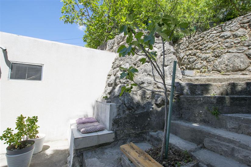 House My dream house