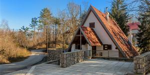 House - Lič