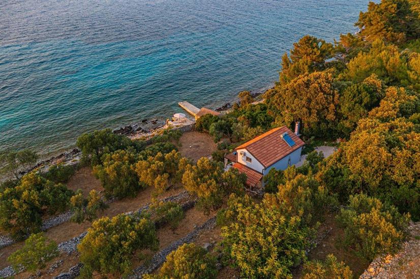 House Bjankura
