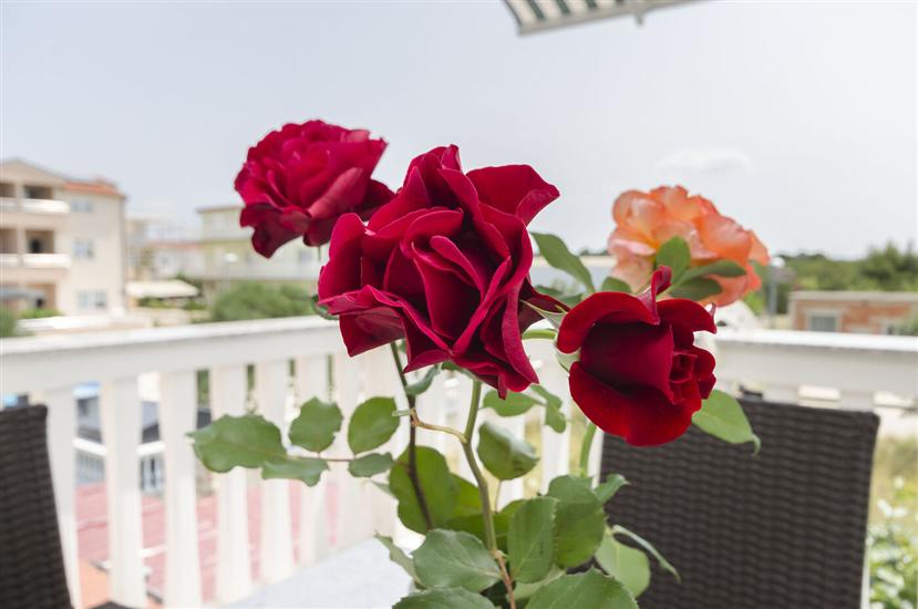 Апартаменты A2, для 4 лиц