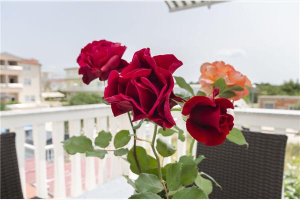 Апартаменты A2, для 4 лиц