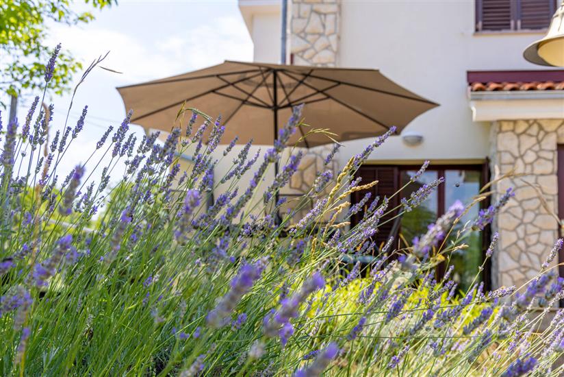 Ferienwohnungen Milas