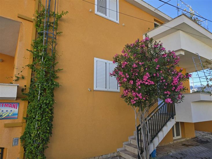 Apartments Sunflower by the sea