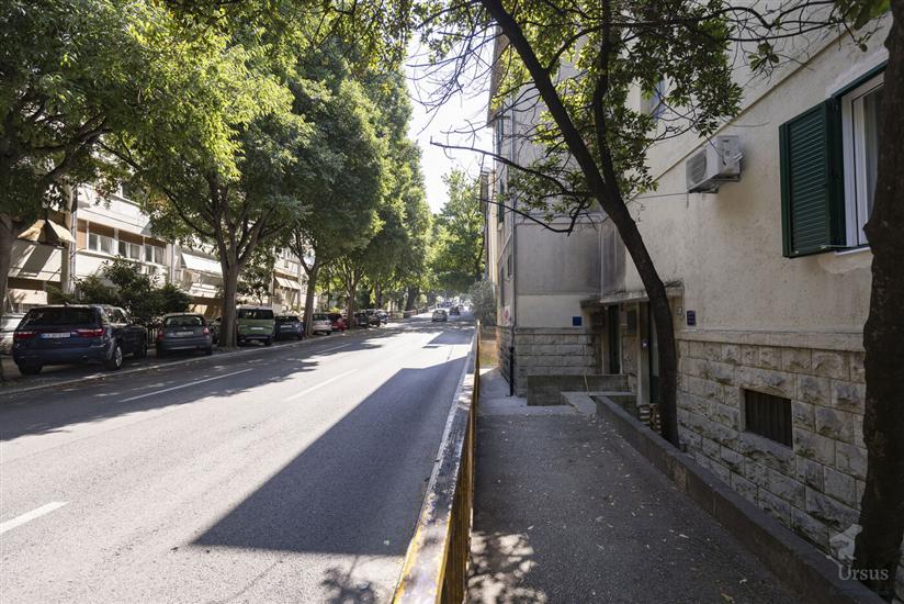 Apartment Nettle Tree