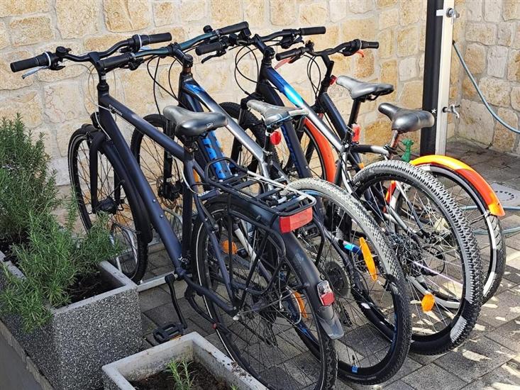 House Villa Zvonimir