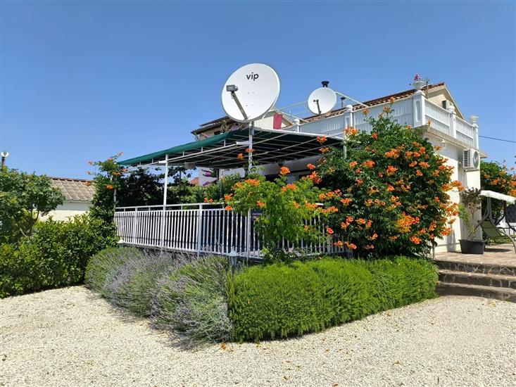 Apartment Snjezana