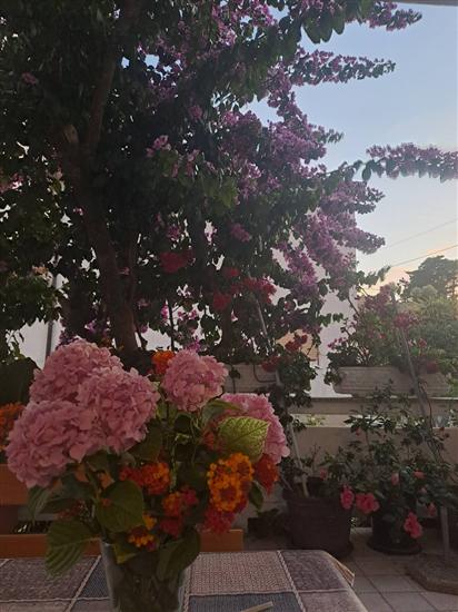 Apartment A1, for 7 persons