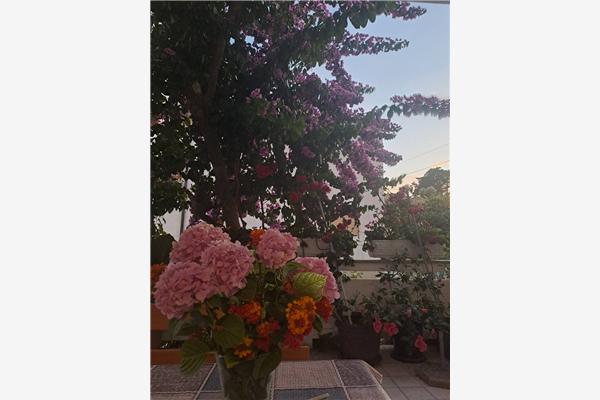 Apartment A1, for 7 persons