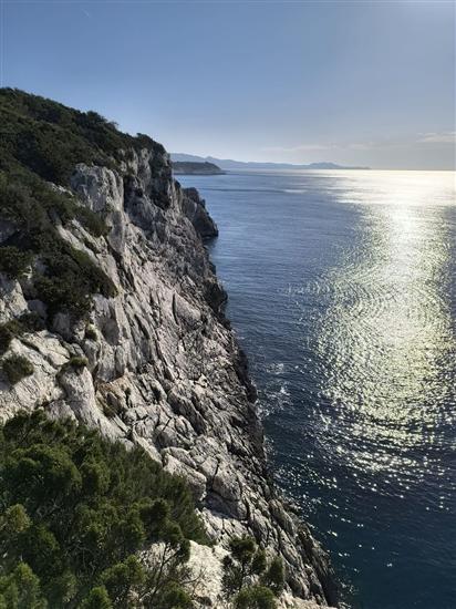 Apartments Grbac Veli Rat-Seaside