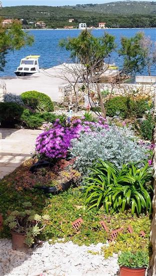 Apartments Grbac Veli Rat-Seaside