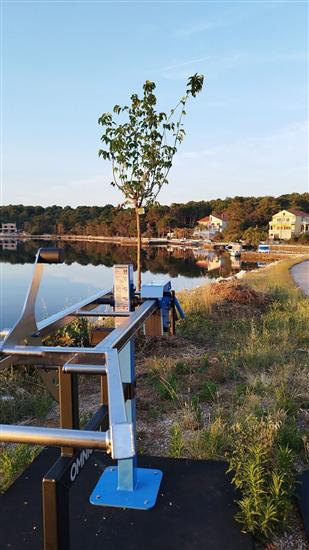 Apartments Grbac Veli Rat-Seaside