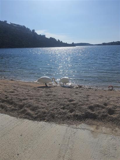 House K1, for 5 persons