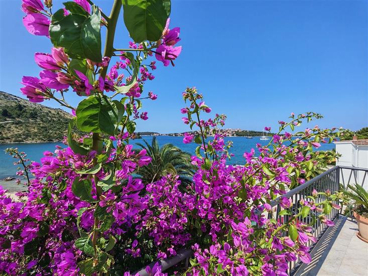 House K1, for 5 persons