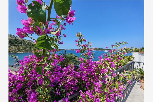 House K1, for 5 persons