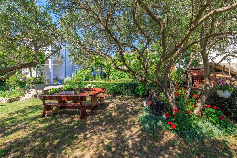 Apartmány D. MATAHLIJA