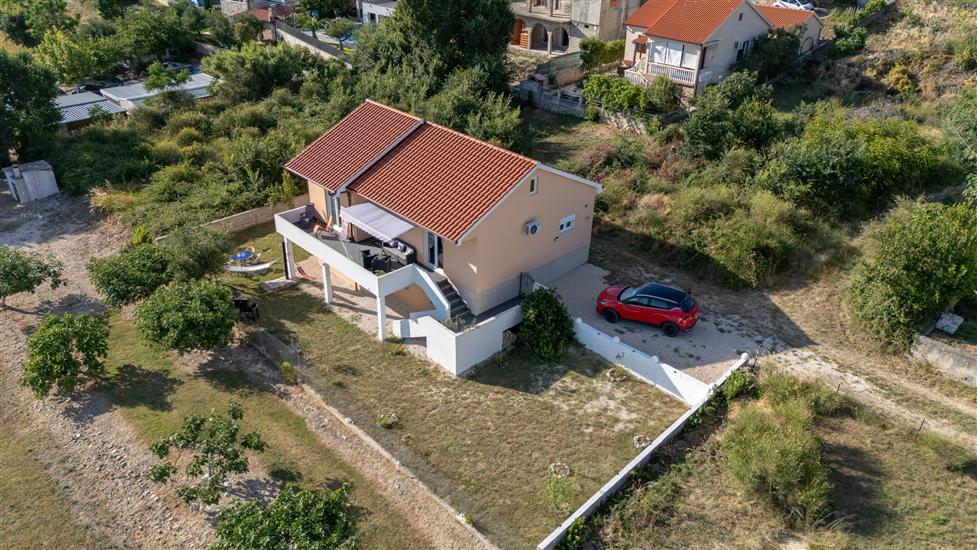 House Adriatic Blue Dream