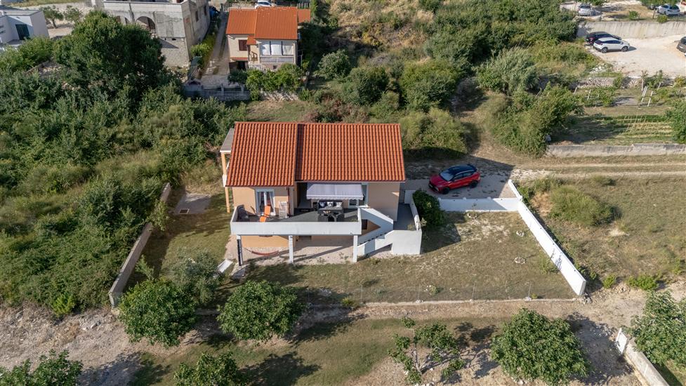 House Adriatic Blue Dream