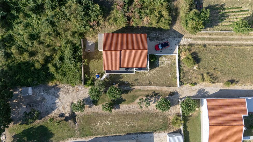 House Adriatic Blue Dream