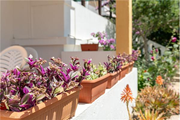 Apartment A1, for 3 persons