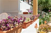 Apartment A1, for 3 persons