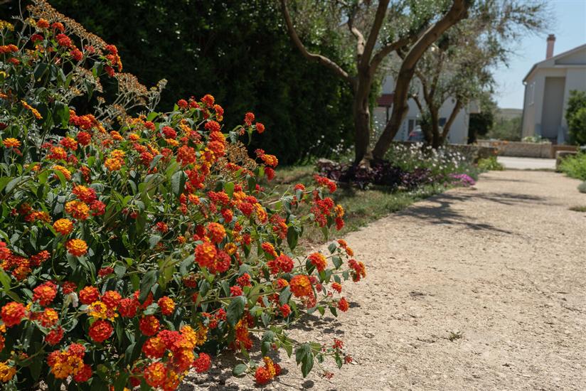 Apartment A1, for 3 persons