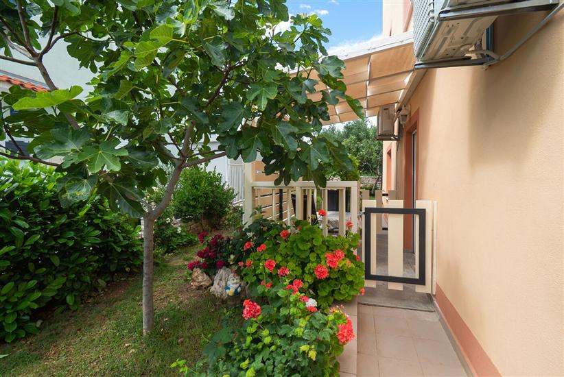 Апартаменты Jak