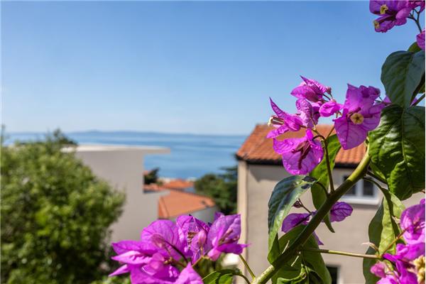 Apartment A4, for 3 persons