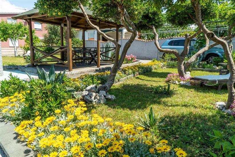 Villa Jelena Vir near beach