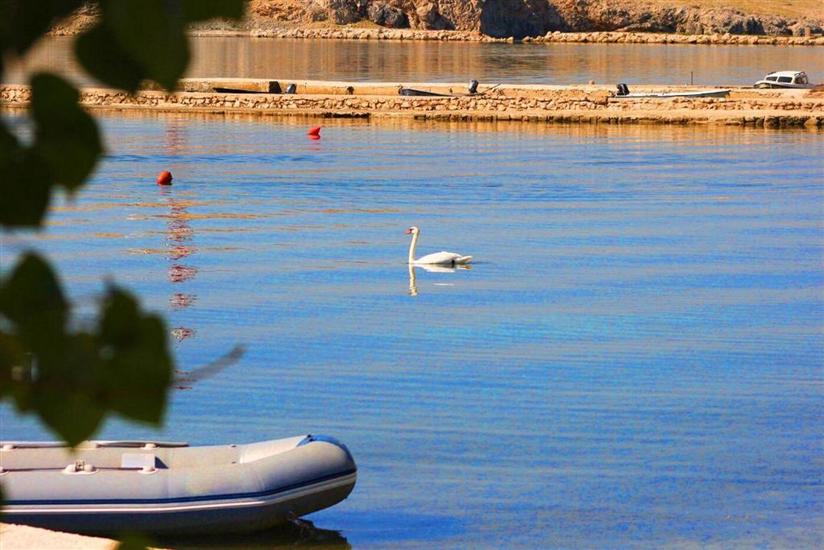 Apartment Duba by the sea