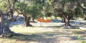 House - Podbižanj (otok Kornat)